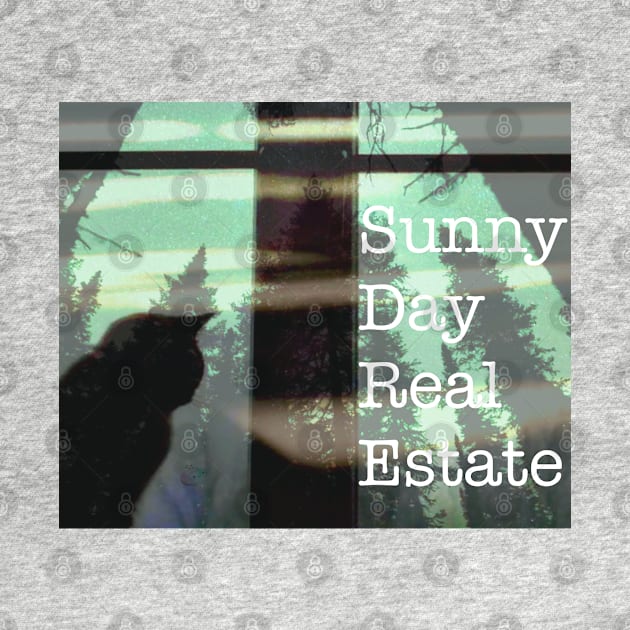 SUNNY DAY REAL ESTATE by Noah Monroe